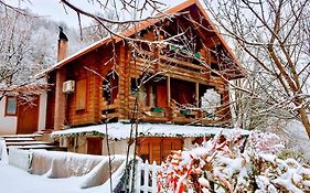 Dajti Paradise Resort